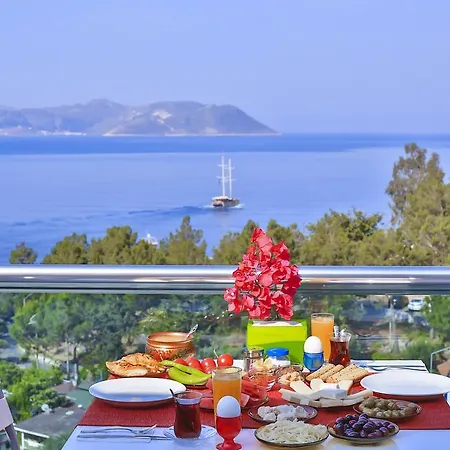 卡什库库卡奇酒店 *